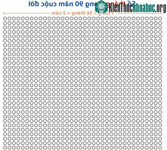 Số tháng trong 90 năm cuộc đời