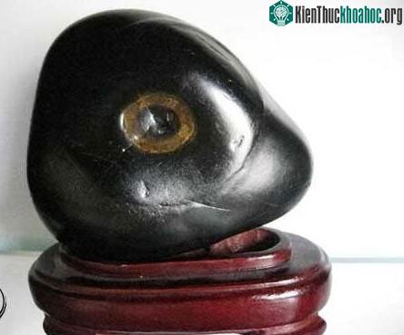 Một hòn đá khác có hốc mắt như thật.