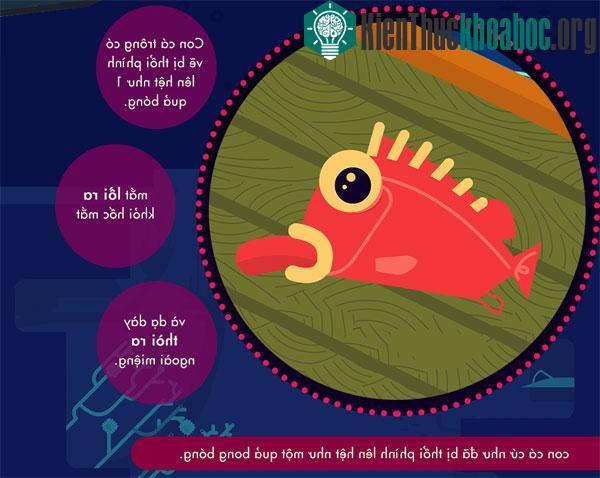 Tác động của áp suất nước lên cơ thể như thế nào? ảnh 1