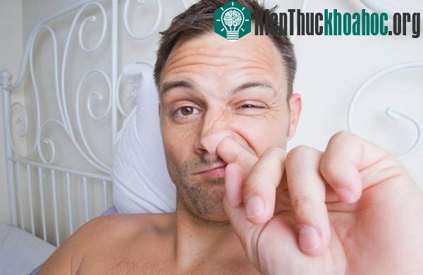 Lý giải vì sao chúng ta lại thích ngoáy mũi