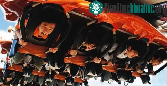 Nguyên nhân là do một con chim đậu đúng bộ phận cảm biến an toàn của tàu lượn.