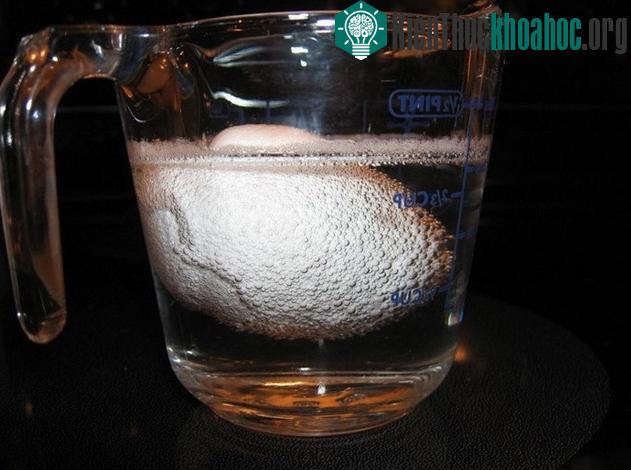 Cho trứng ngập vào trong nước giấm.