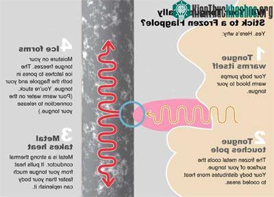Ảnh:&nbsp;Livescience