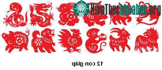 12 con Giáp từ đâu ra?