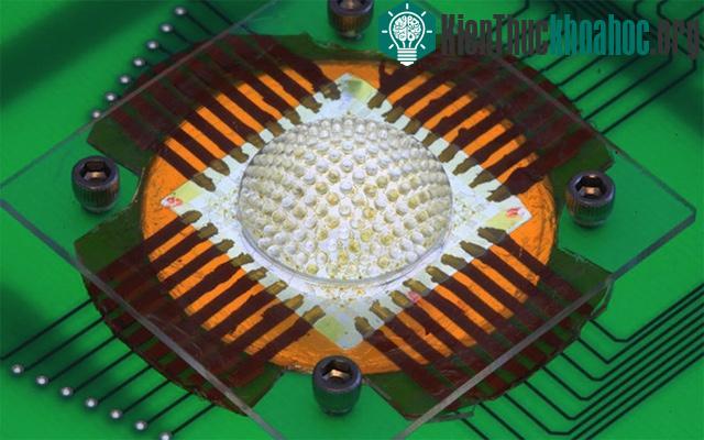 13 phát minh khoa học đột phá mà con người vay mượn từ thiên nhiên