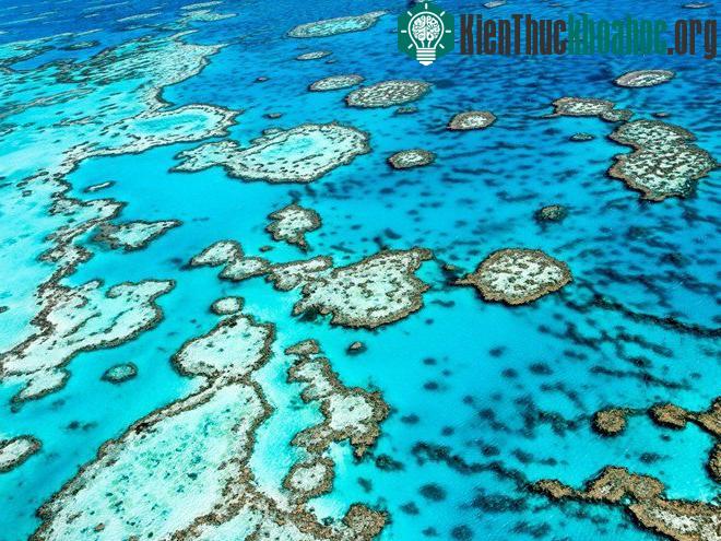 Trải dài gần 3.000 km vùng biển phía đông bắc Australia, đây là nơi có mạng lưới san hô lớn nhất thế giới với hàng nghìn loài cá và sinh vật biển.