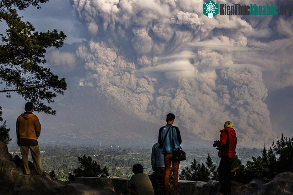 Ảnh Endro Lewa / Antara Photo Agency / Reuters.