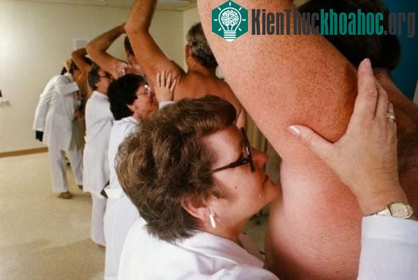 Một loạt nghề mà không ai tin là sẽ tồn tại trên đời- ảnh 12