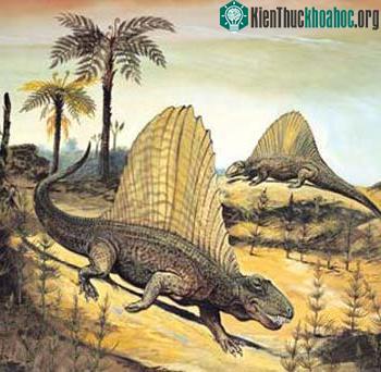Lịch sử Trái đất qua ảnh (Phần I)
