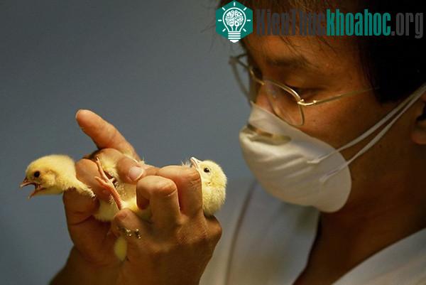Một loạt nghề mà không ai tin là sẽ tồn tại trên đời- ảnh 15