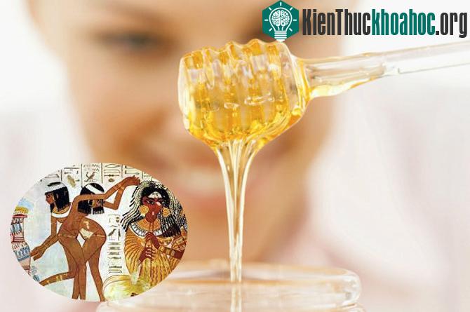 "Áo choàng tử cung" bằng mật ong