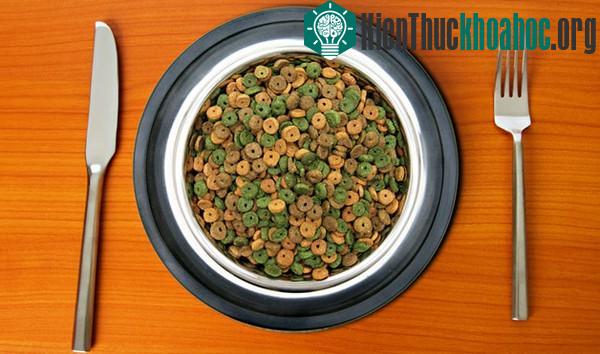 Một loạt nghề mà không ai tin là sẽ tồn tại trên đời- ảnh 17
