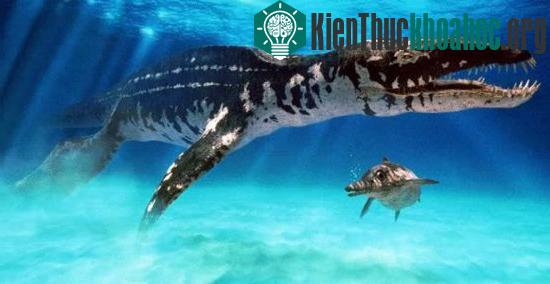 Ảnh trên là cặp đôi Liopleurodon và Thalattoarchon tuy nhiên đây chỉ là mô phỏng vì hai loài này sống ở hai mốc thời gian khác nhau trong thời cổ đại....