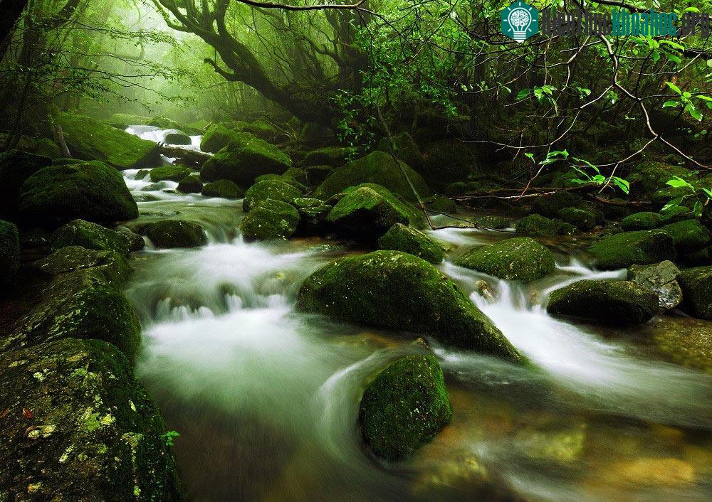 (Ảnh: 37framesphotographyblog.)