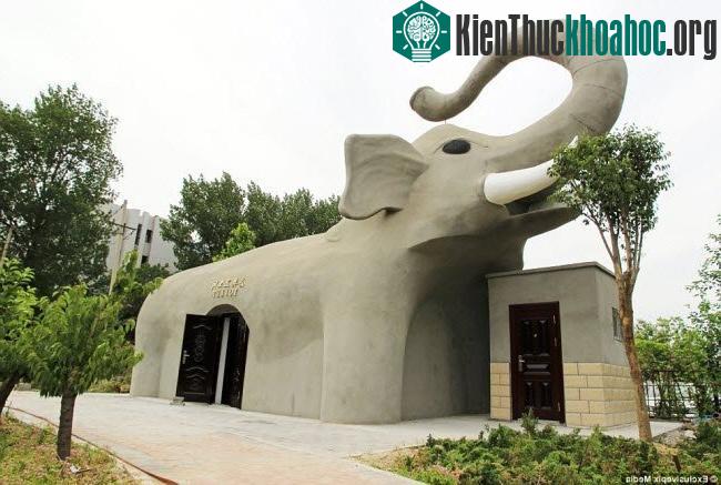 Những nhà vệ sinh đặc biệt ở Trung Quốc ảnh 2