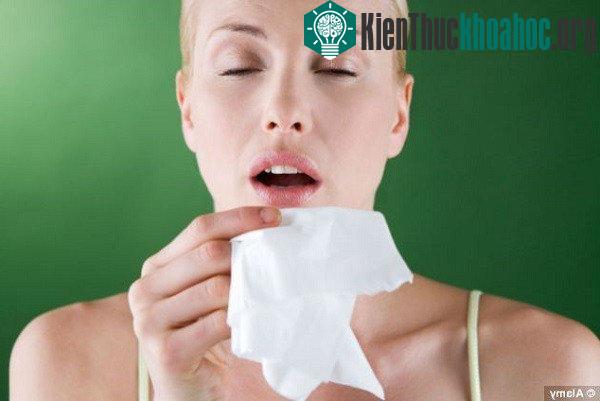 Những điều lý thú về đôi mắt