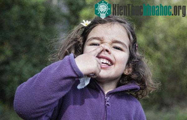 Lý giải vì sao chúng ta lại thích ngoáy mũi