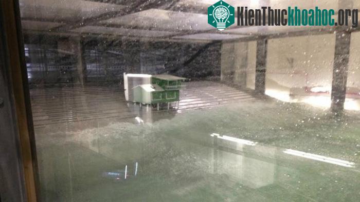Kiểm tra sự kiên cố của một mô hình tòa nhà trong bão.
