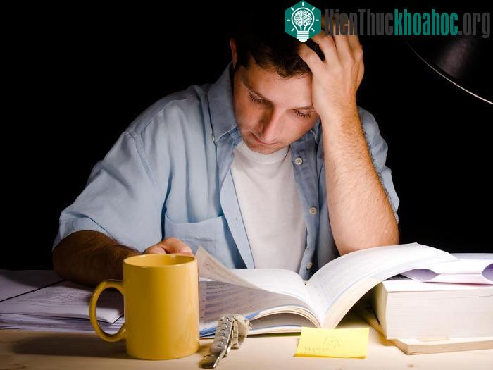 Có một cách giúp bạn hấp thụ bài vở đỡ tốn sức hơn đó là ngủ.
