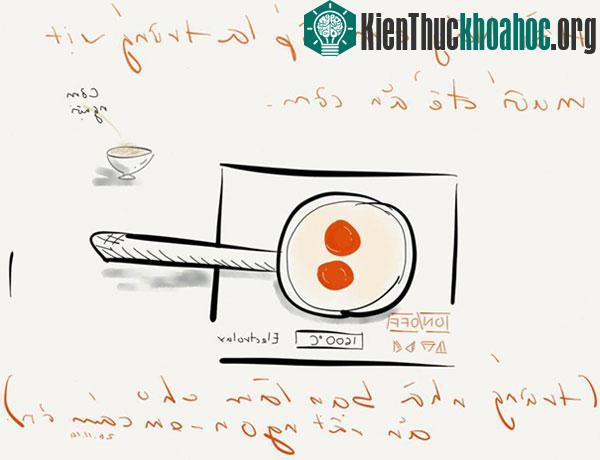 Kỹ năng chọn các thành phần mấu chốt trên đối tượng để vẽ lại cũng góp phần tạo nên kỹ năng vẽ tốt