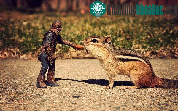 .. nhưng chỉ có 40% dân số thế giới có khả năng ngửi được mùi này.