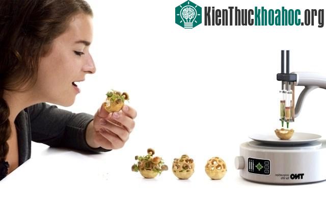 Không còn gạo, con người sẽ ăn gì?- ảnh 3