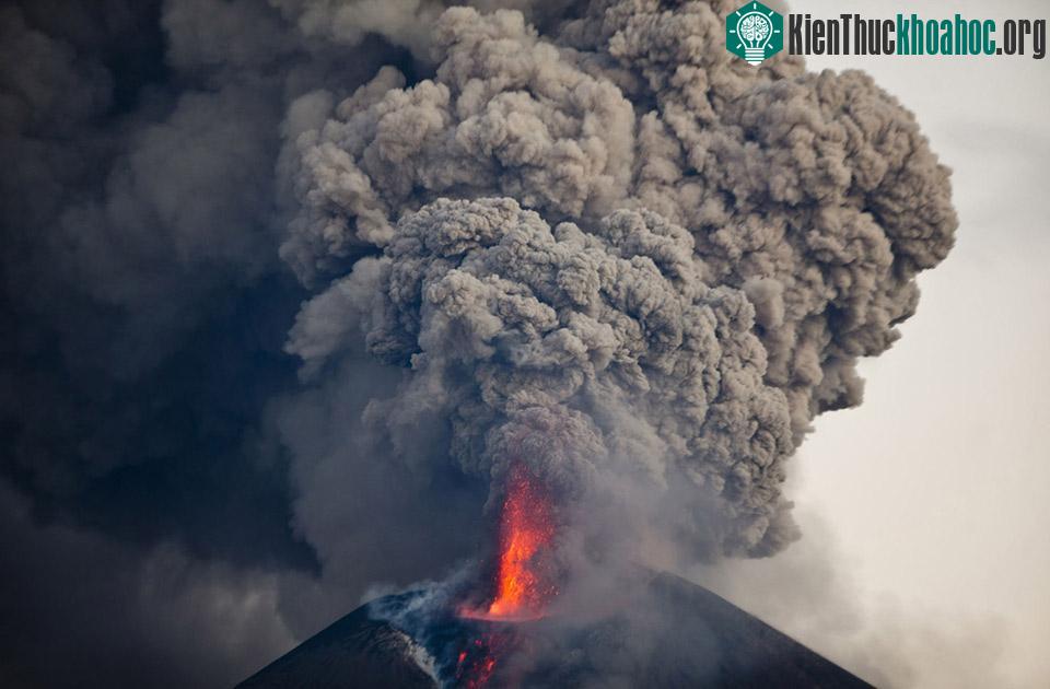 Ảnh Esteban Felix / AP