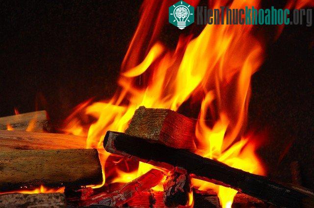 10 điều khiến con người trở nên đặc biệt