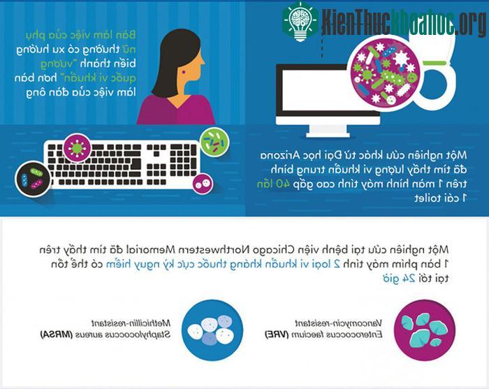 Bàn phím máy tính của bạn có khi còn bẩn hơn bồn cầu tới 400 lần? ảnh 3