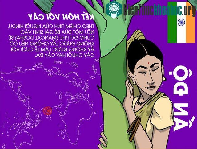 Ở Ấn Độ, bé gái nếu sinh vào cung sát phu thì phải làm lễ cưới với cây trước rồi mới có thể lấy chồng.