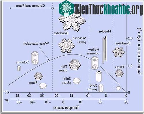 Hình 4: Biểu đồ hình thái của hoa tuyết. (Ảnh: Pandasthumb.org)