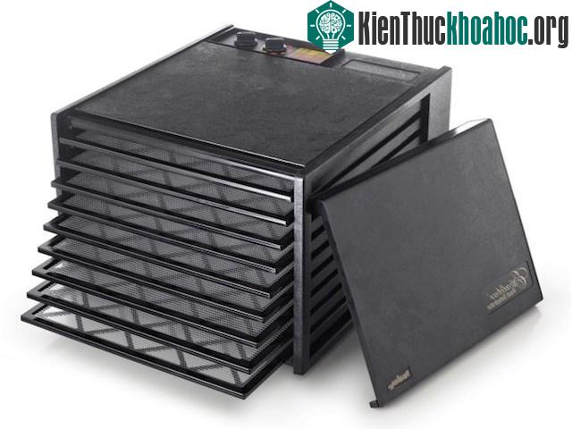 Không còn gạo, con người sẽ ăn gì?- ảnh 4