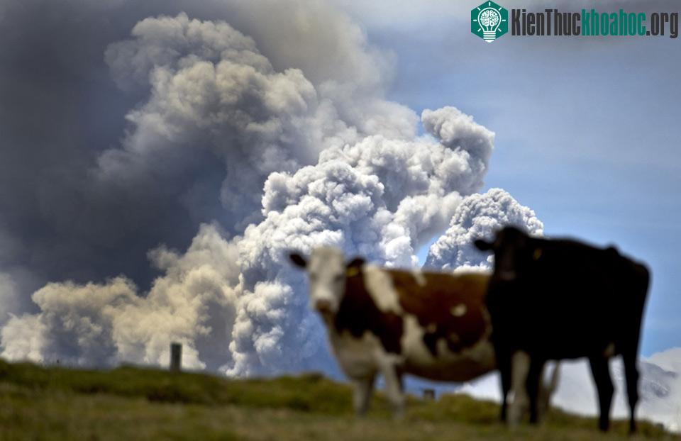Ảnh Martin Bernetti / AFP / Getty