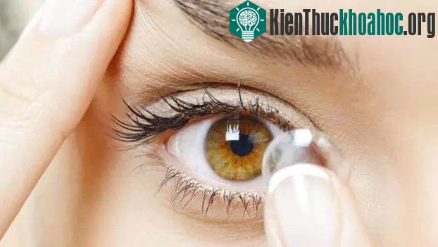 Lý giải khoa học cho việc con người bị cận thị
