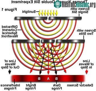 (Ảnh: magnet.fsu.edu)