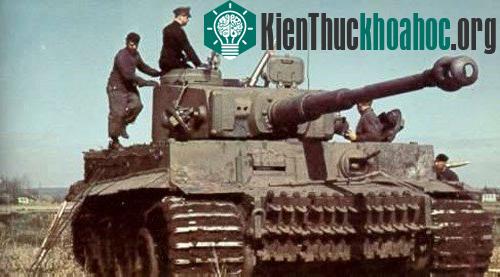 Khi động vật trở thành vũ khí quân sự
