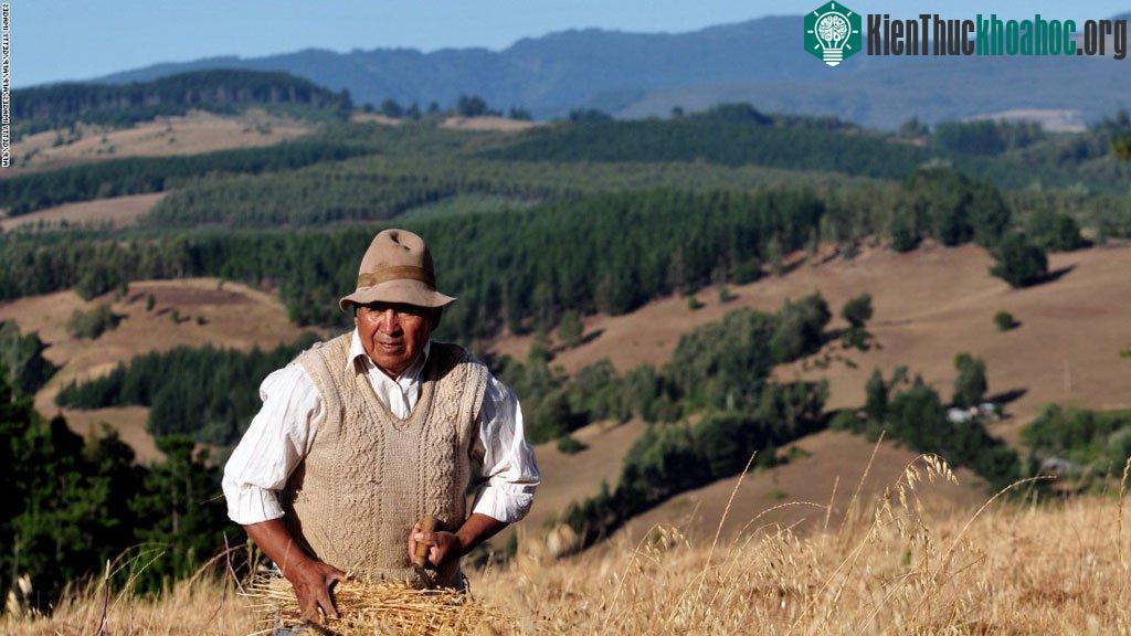 Mapuche: Nằm giữa Argentina và Chile, Mapuche là một lãnh thổ độc lập cho tới khi được hai quốc gia này chia nhau sở hữu vào thế kỷ 19. Mapuche nổi tiếng với vải dệt và các đồ thủ công tinh xảo.
