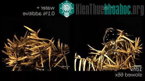 Thí nghiệm "nước lạ" giúp dập lửa nhanh và hiệu quả chưa từng thấy