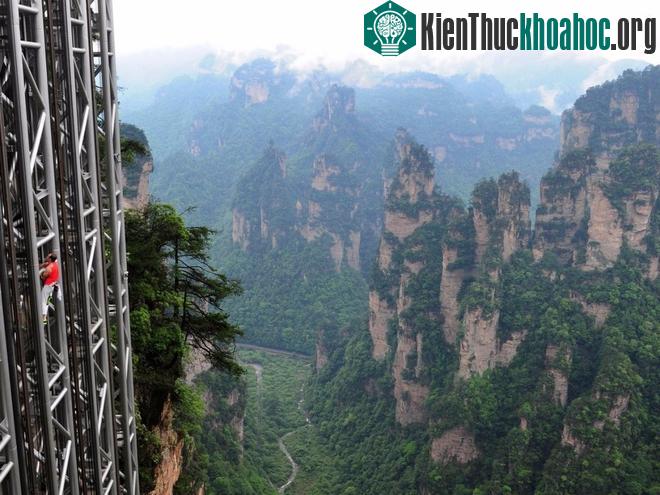 Những kỷ lục thế giới khiến bạn bất ngờ- ảnh 6