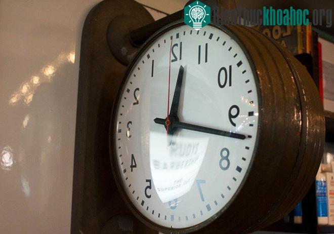 Trong một ngày, kim đồng hồ xếp chồng lên nhau bao nhiêu lần?