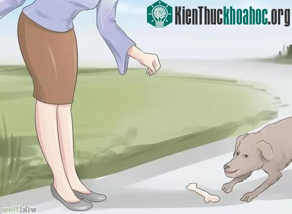 Sử dụng "mồi" để làm chó phân tâm là một trong những cách hiệu quả.