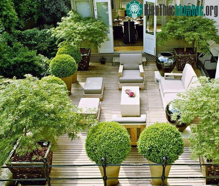 Phần não bộ giúp chúng ta tập trung sẽ bị hấp dẫn và kích thích bởi hình ảnh cây cối thiên nhiên.