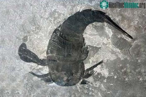 Lịch sử Trái đất qua hình ảnh (Phần I)