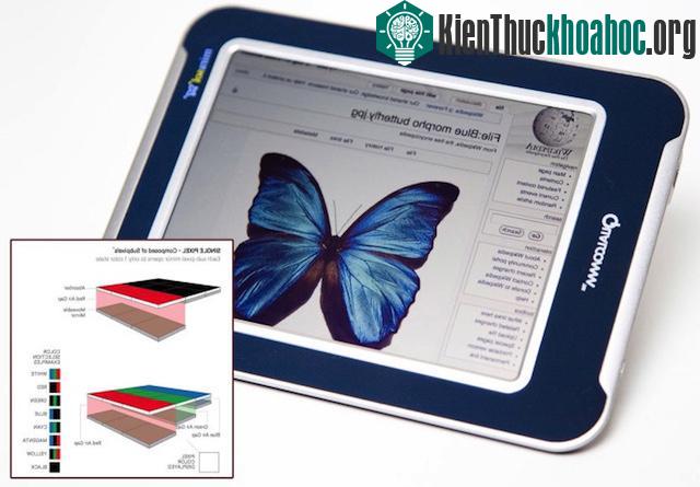 13 phát minh khoa học đột phá mà con người vay mượn từ thiên nhiên