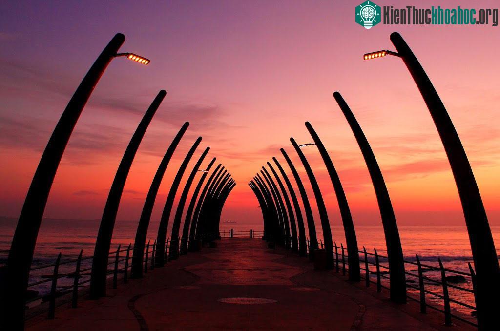 Umhlanga, Nam Phi: Cầu cảng của thị trấn nghỉ dưỡng Umhlanga khá ngắn, với thiết kế nhìn như xương lồng ngực của một động vật lớn. CNN từng đánh giá đây là một trong những cầu cảng đẹp nhất thế giớ...