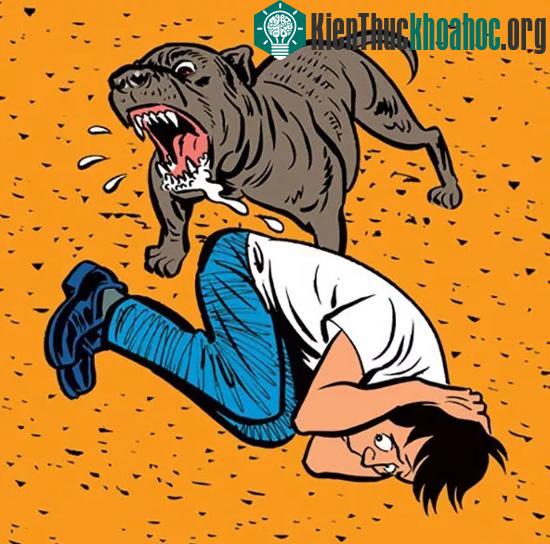 Bảo vệ mặt, cổ họng và ngực, những nơi dễ bị tổn thương.