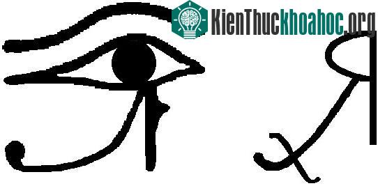 Kí hiệu Rx ngày nay dành cho các toa thuốc, nó mang ý nghĩa tượng trưng cho sự hồi phục và tính thống nhất.