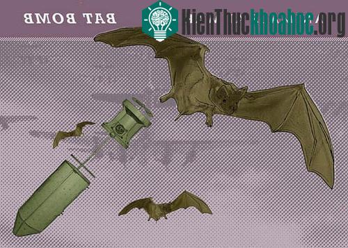 Khi động vật trở thành vũ khí quân sự