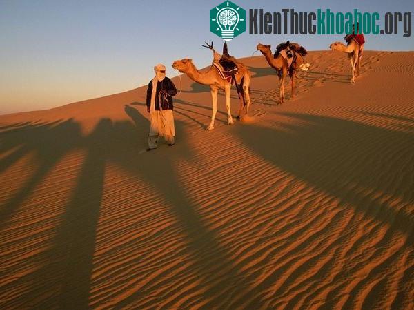 Nhiệt độ nóng nhất từng được ghi nhận ở Azizia, Libya, là 57,8 độ C