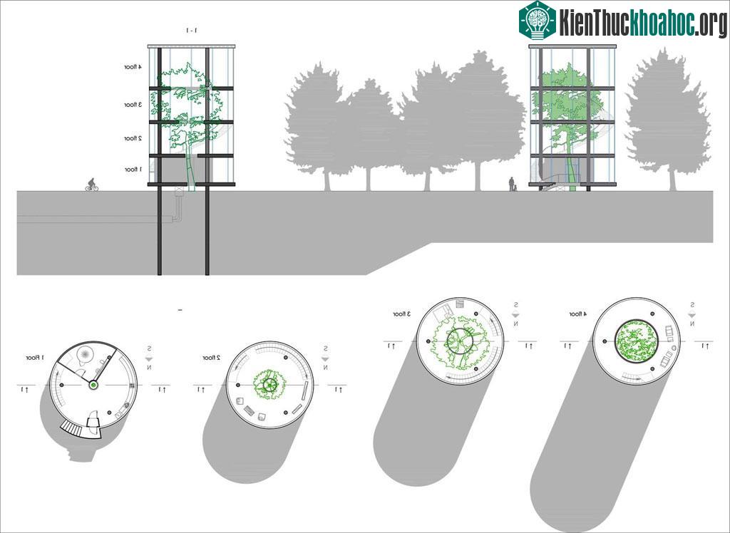 Ngôi nhà trong suốt kỳ diệu trong rừng cây ảnh 9